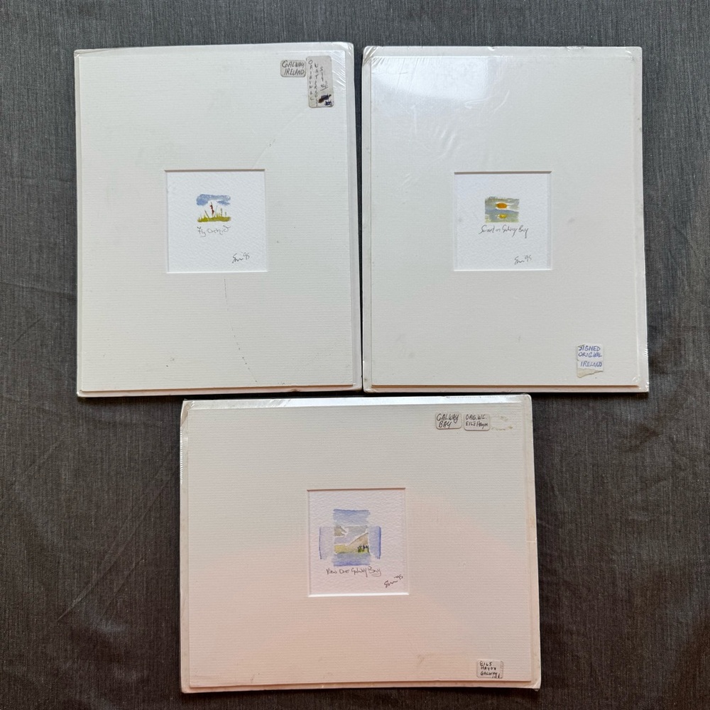 3 Vintage Signed Eilis Hayon Watercolor Paintings Wall Art Galway Bay;Fly Orchid